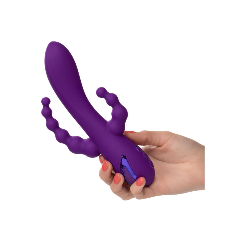 CalExotics California Dreaming Long Beach Bootylicious Viola – immagine 3